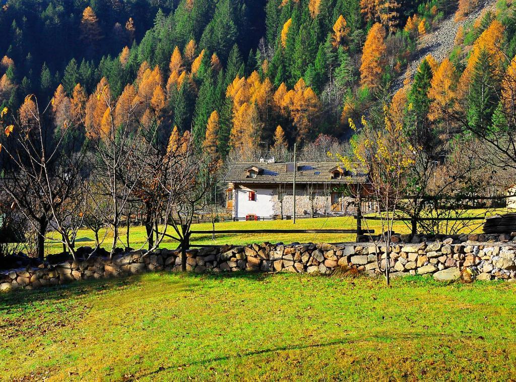 Maso Franceschella Bed & Breakfast Carano  Exterior photo